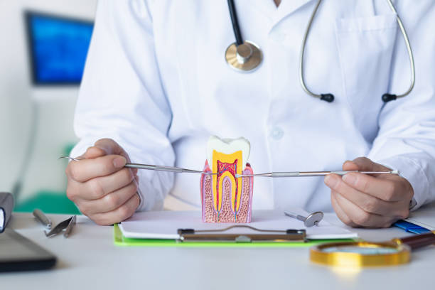 Best Holiday Emergency Dentist in Bicknell, IN